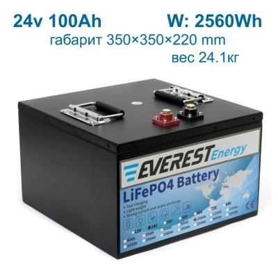Everest LFP-24V 100Аh литиевый тяговый аккумулятор 